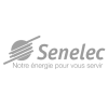 Société nationale d'électricité du Sénégal (Senelec), Senegal